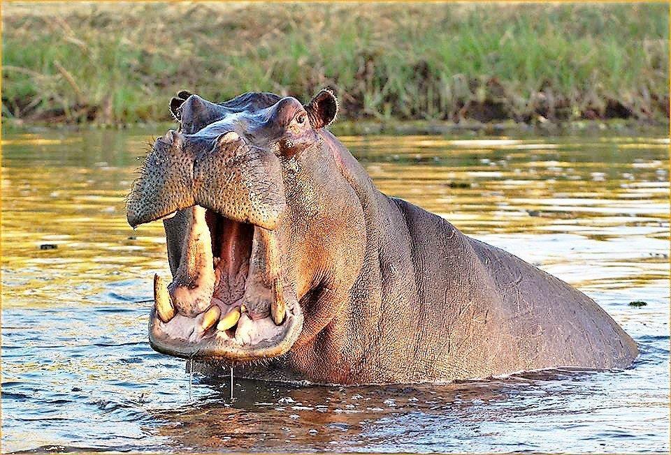 Mabalingwe Uzuri Lodge Bela-Bela Buitenkant foto